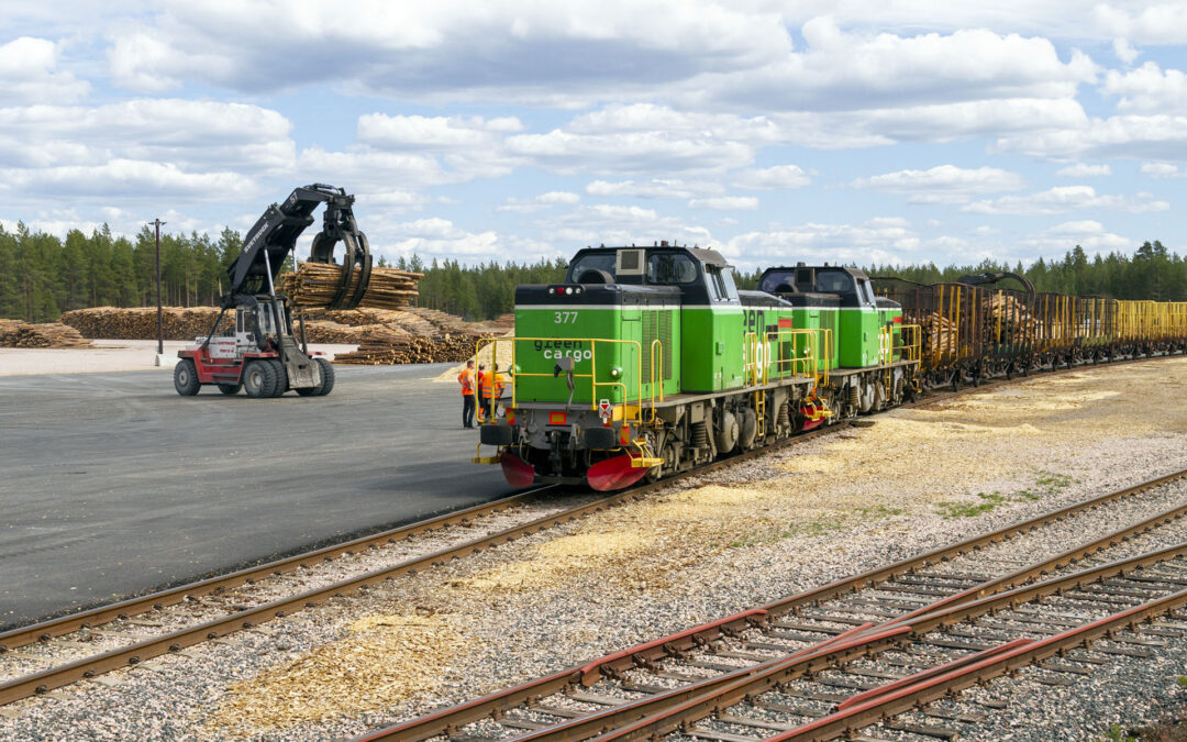 Åter trätransporter på tåg