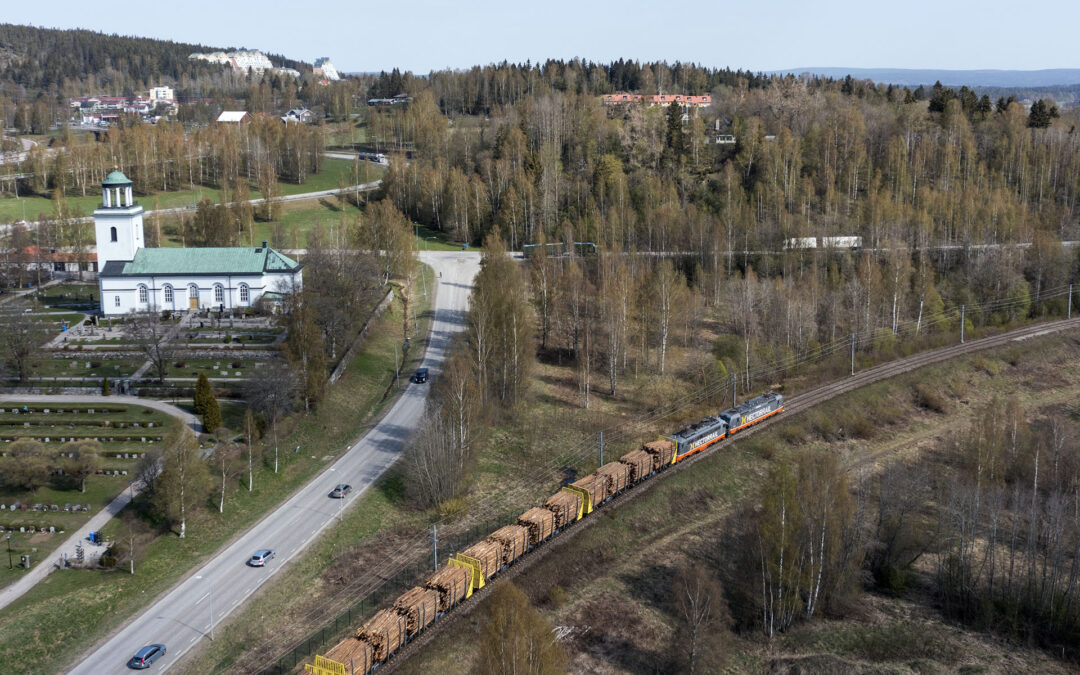 Skogen tar tåget till kusten