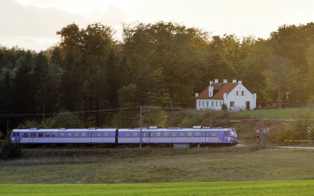 Återhämtningen har börjat