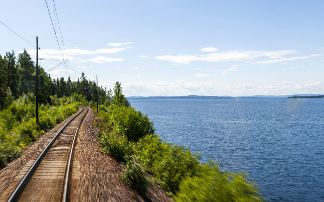 Träflis nära orsaka tågkollision