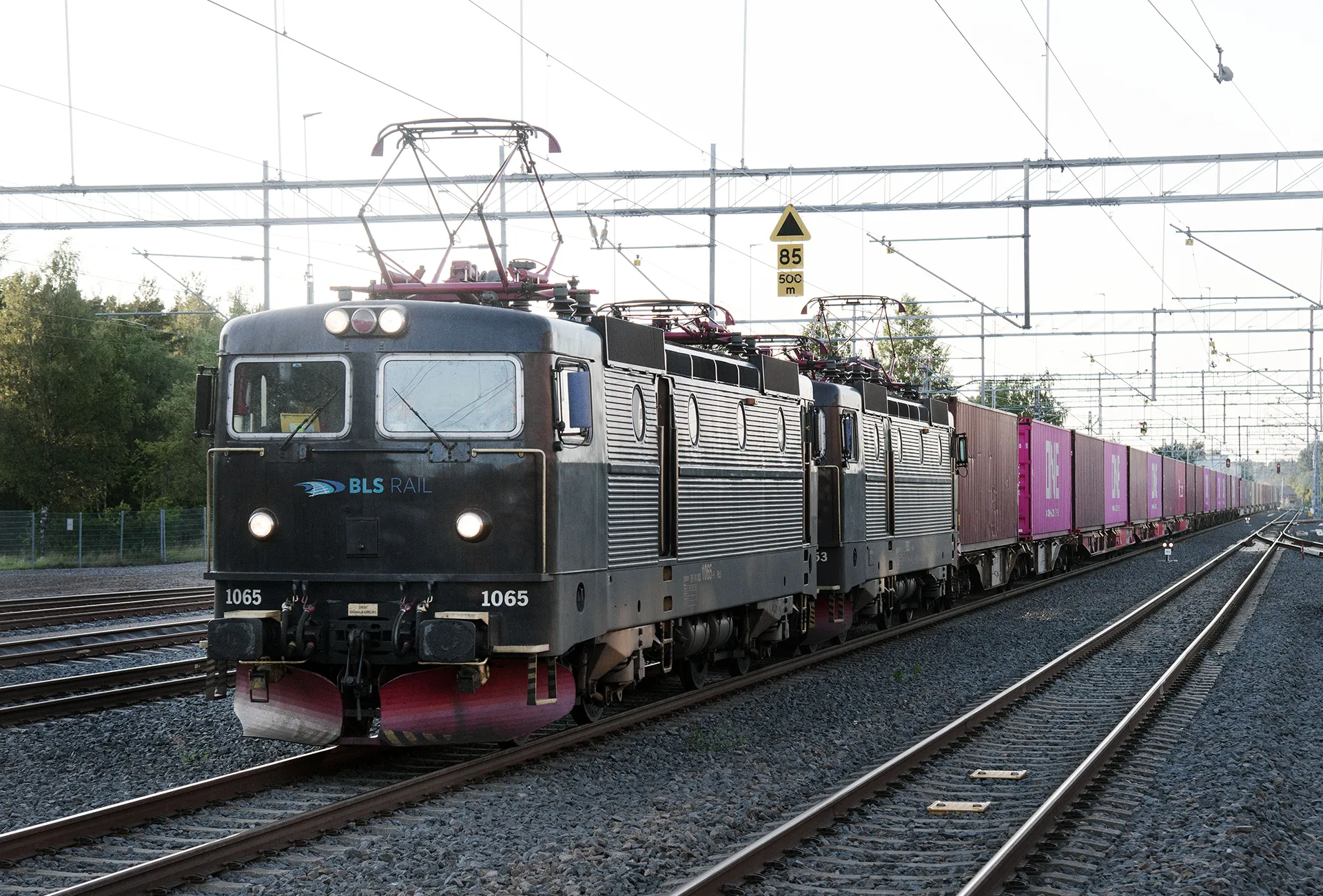 BLS-Rail-DSC_4246