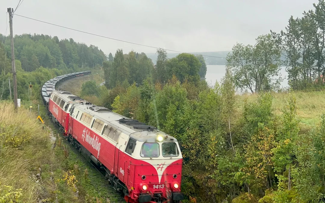 Inlandsbanan livlina för godset