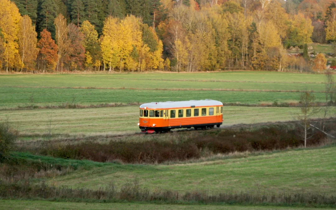 Ungdomsresa på smalspår