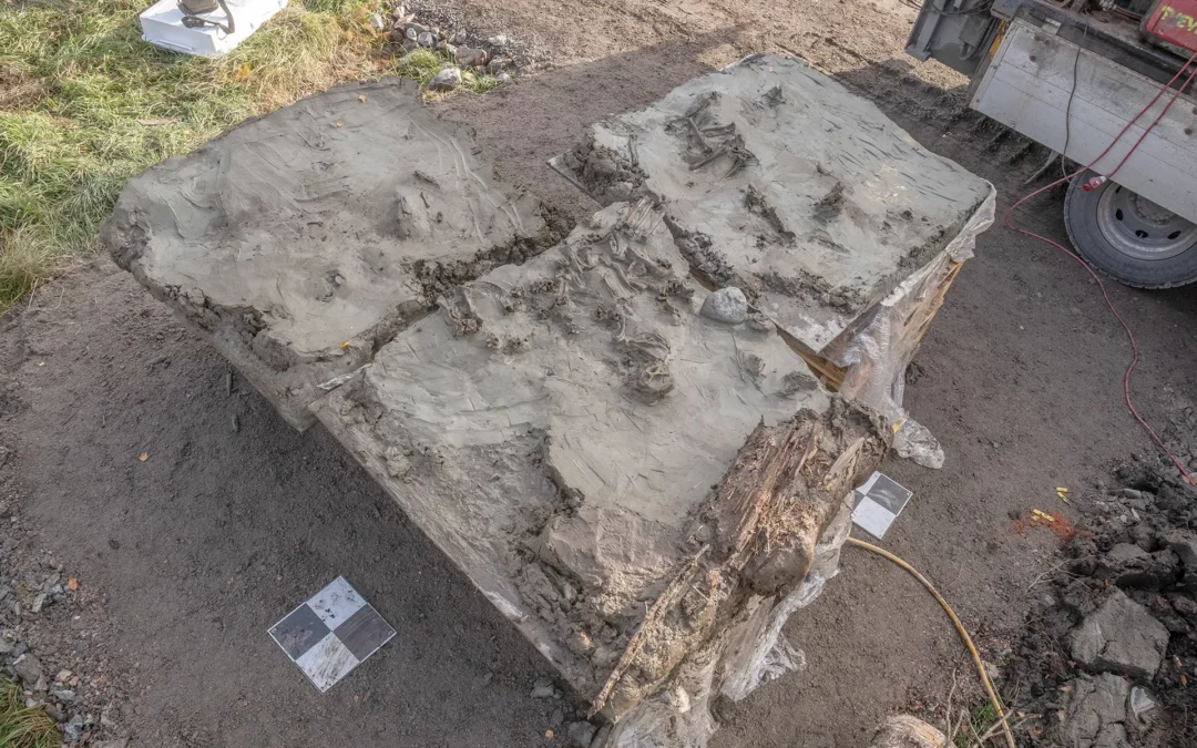 En hund begraven i Järna