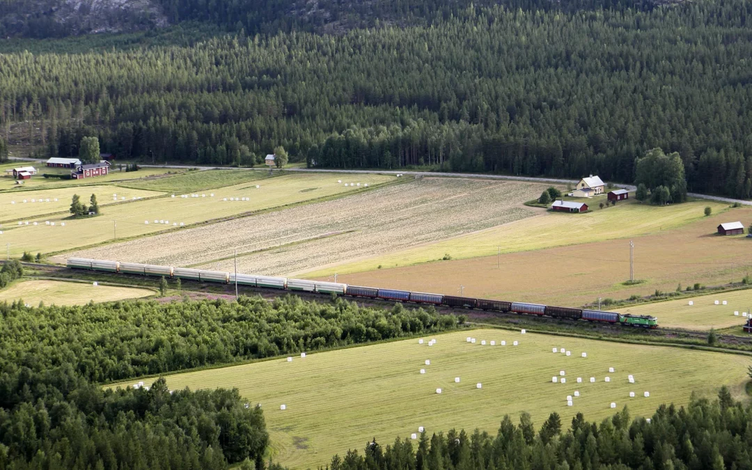 Linerpendeln Piteå–Umeå läggs ner