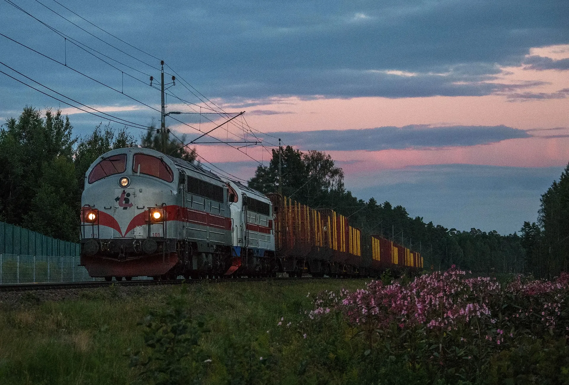 Tåg 48719 från Kristinehamn till Torsby med TMY 101 och TMY 110 i Inlandsgods färgsättning vid Råtorp 27 juli 2020.